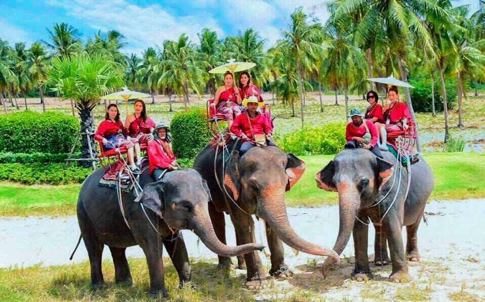 Du lịch Thái Lan 2025  BANGKOK - PATTAYA – SUANTHAI - FREEDAY 